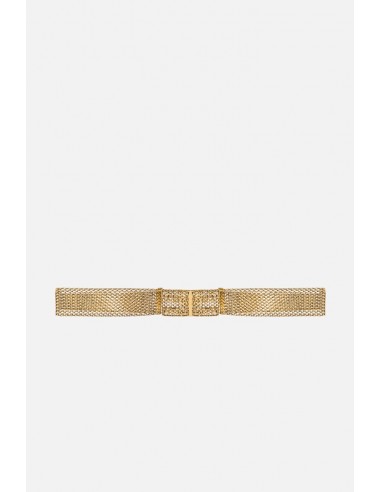 elisabetta franchi belt